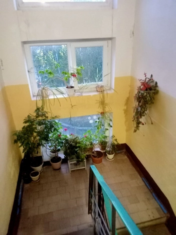 Купить квартиру в Истре. Вариант № 1631997, 16, площадь -  квм, цена 7000000 рублей