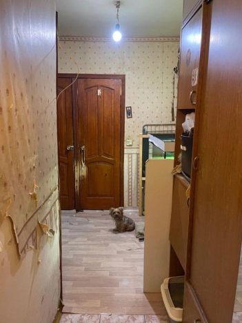 Купить квартиру в Москве. Вариант № 9897243, 1, площадь -  квм, цена 14500000 рублей