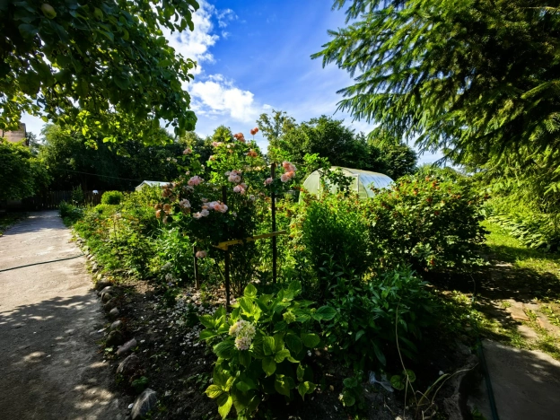 Купить дом в Зеленоградске. Вариант № 203767, 14, площадь -  квм, цена 10050000 рублей