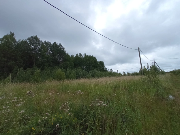 Купить земельный участок в Вологодской области. Вариант № 8987, 3, площадь -  квм, цена 380000 рублей