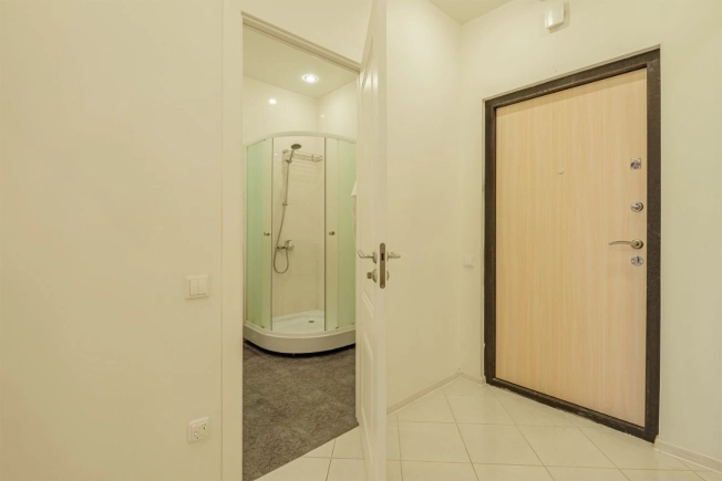 Купить однокомнатную квартиру в районе Центральный в Санкт-Петербурге. Вариант № 55360, 15, площадь -  квм, цена 14990000 рублей