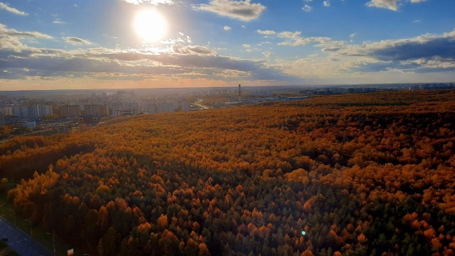 Купить квартиру в Москве. Вариант № 10282872, 16, площадь -  квм, цена 14900000 рублей