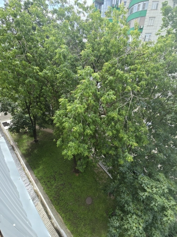 Купить квартиру в ЦАО в Москве. Вариант № 56722, 22, площадь -  квм, цена 16100000.0000 рублей