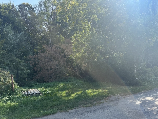 Купить земельный участок в Ярославской области. Вариант № 13047, 4, площадь -  квм, цена 300000 рублей