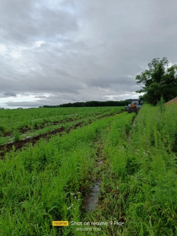 Купить земельный участок в Арсеньеве. Вариант № 1174, 6, площадь -  квм, цена 550000 рублей