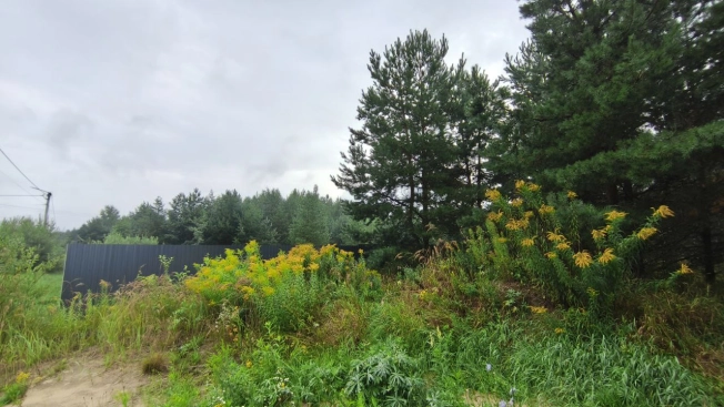 Купить земельный участок на улице Журавлиха в Владимире. Вариант № 44659, 2, площадь -  квм, цена 2000000 рублей