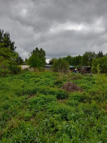 Купить земельный участок в Новосибирске. Вариант № 48159, 1, площадь -  квм, цена 520000 рублей