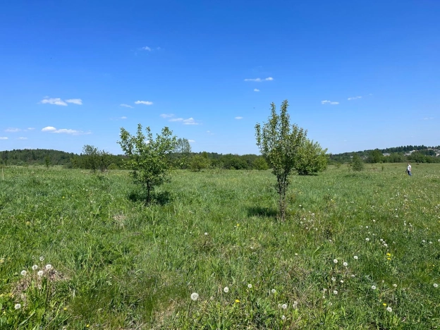 Купить земельный участок в Сергиеве Посаде. Вариант № 13696, 6, площадь -  квм, цена 350000 рублей