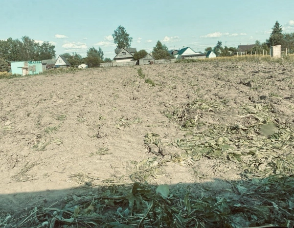 Купить земельный участок в Ленинградской области. Вариант № 10681308, 3, площадь - квм, цена 1450000 рублей