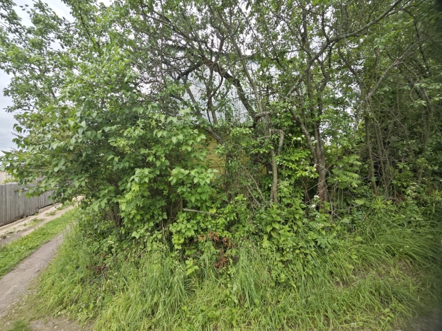 Купить дачу в Московской области. Вариант № 57662, 28, площадь -  квм, цена 480000 рублей