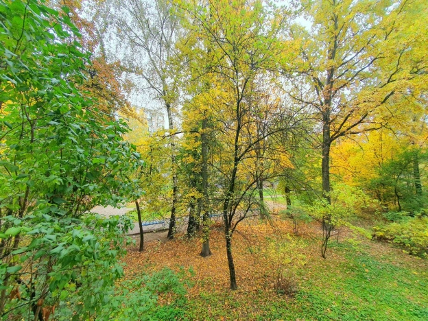 Купить двухкомнатную квартиру на улице Юбилейный проспект в Реутове. Вариант № 6959995, 21, площадь -  квм, цена 6250000 рублей