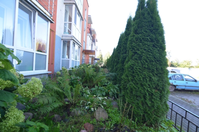 . Вариант № 26148, 16, площадь - 20.5 квм, цена 2599999 рублей