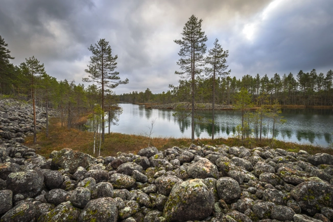 Купить земельный участок в Республике Карелия. Вариант № 7804533, 6, площадь -  квм, цена 15000000 рублей