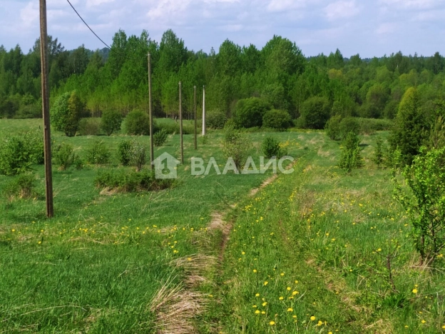 Купить земельный участок в Вологодской области. Вариант № 9281, 0, площадь -  квм, цена 250000 рублей