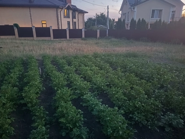 Купить земельный участок в Воронеже. Вариант № 6946, 2, площадь -  квм, цена 9900000 рублей