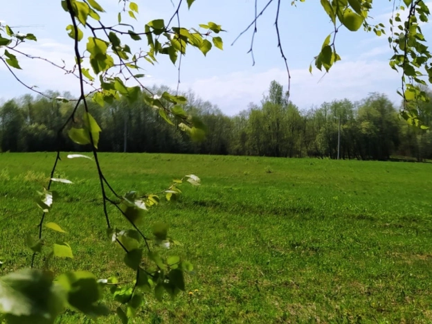 Купить земельный участок в Краснозаводске. Вариант № 972, 11, площадь -  квм, цена 1100000 рублей