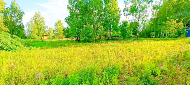 Купить земельный участок в Зеленоградске. Вариант № 46264, 3, площадь -  квм, цена 3000000 рублей