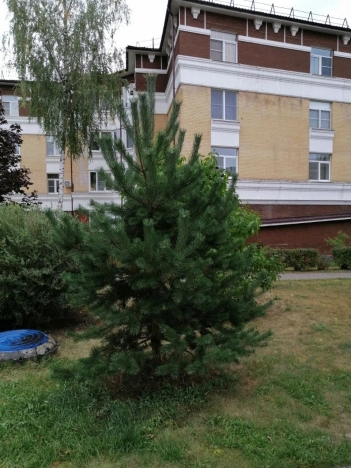 Купить квартиру на улице Черняховского в Балашихе. Вариант № 41664, 29, площадь - квм, цена 11000000 рублей