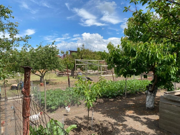 Купить дом в Краснодарском крае. Вариант № 9869695, 11, площадь -  квм, цена 9500000 рублей