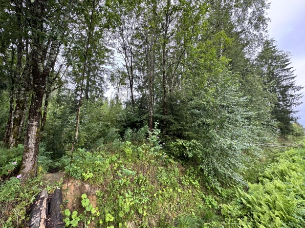 Купить земельный участок в Санкт-Петербурге. Вариант № 9447544, 2, площадь - квм, цена 5000000 рублей