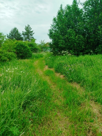 Купить земельный участок в Вологодской области. Вариант № 53369, 1, площадь -  квм, цена 2100000 рублей