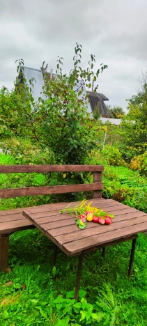 Купить дачу в Ярославской области. Вариант № 35377, 22, площадь -  квм, цена 2700000 рублей