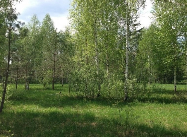 Купить земельный участок на улице Янтарная в Республике Татарстан (татарстан). Вариант № 2128730, 0, площадь -  квм, цена 1450000 рублей