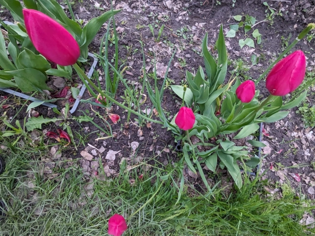 Купить дачу на улице Циолковского в Новосибирске. Вариант № 2000, 14, площадь -  квм, цена 2550000 рублей