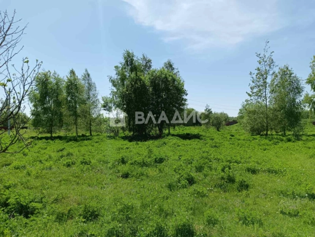 Купить земельный участок в Гусь-Хрустальном. Вариант № 40125, 0, площадь -  квм, цена 520000 рублей