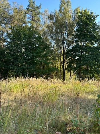 Купить земельный участок на улице 1-й Автопарк в Москве. Вариант № 15041, 2, площадь -  квм, цена 46800000 рублей