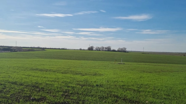 Купить земельный участок в Республике Крым. Вариант № 9565201, 17, площадь -  квм, цена 310000 рублей