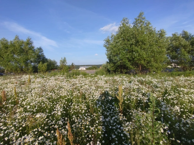 Купить земельный участок в Коломне. Вариант № 58470, 1, площадь -  квм, цена 950000 рублей