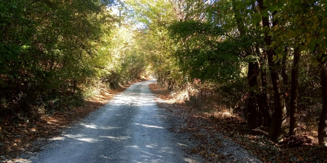 Купить земельный участок на улице Центральная в Новороссийске. Вариант № 3491, 6, площадь -  квм, цена 29998000 рублей