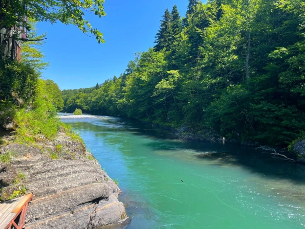 Купить земельный участок в Республике Адыгея (адыгея). Вариант № 927912, 44, площадь -  квм, цена 36000000 рублей