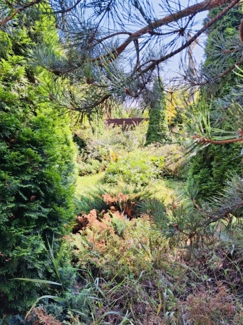 Купить дом в Москве. Вариант № 11533, 22, площадь - квм, цена 20000000 рублей