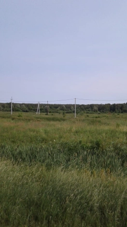 Купить земельный участок в Новосибирске. Вариант № 58771, 1, площадь -  квм, цена 230000 рублей