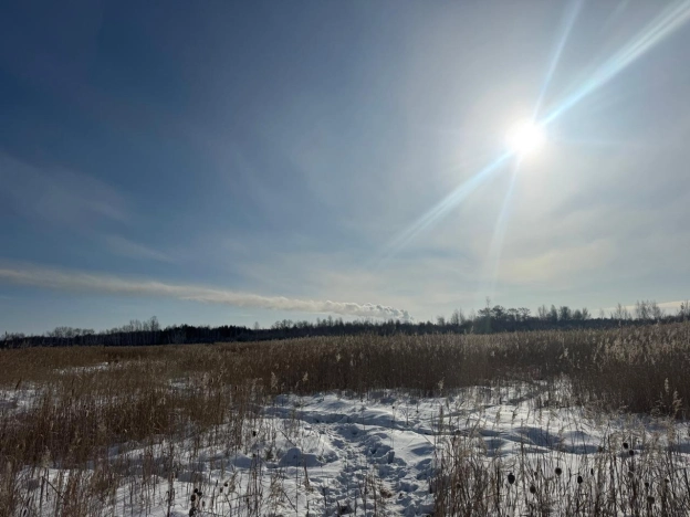 Купить земельный участок в Иркутске. Вариант № 33541, 3, площадь -  квм, цена 450000 рублей