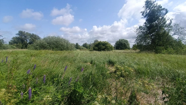 Купить земельный участок в Калининграде. Вариант № 55831, 1, площадь -  квм, цена 800000 рублей