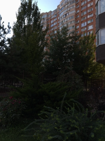 Купить квартиру в районе жилой  Восточный в Краснодаре. Вариант № 7202921, 31, площадь -  квм, цена 17400000 рублей