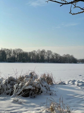 Купить дом в Коломне. Вариант № 10011625, 40, площадь -  квм, цена 6900000 рублей