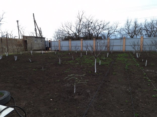 . Вариант № 7920, 13, площадь - 85 квм, цена 7200000 рублей