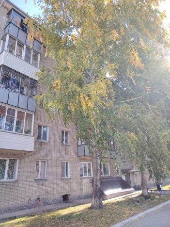 . Вариант № 5414568, 4, площадь - 29 квм, цена 2100000 рублей