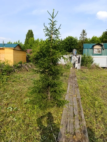 Купить земельный участок в Искитиме. Вариант № 60705, 0, площадь -  квм, цена 1075000 рублей