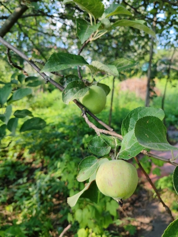 Купить земельный участок у метро Двигатель Революции в Нижнем Новгороде. Вариант № 14850, 26, площадь - квм, цена 2100000 рублей