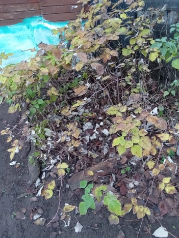 Купить дом на улице 1 Мая в Нижегородской области. Вариант № 8774542, 14, площадь -  квм, цена 4100000 рублей