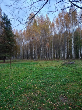 Купить земельный участок в Владимире. Вариант № 7593449, 3, площадь -  квм, цена 1200000 рублей