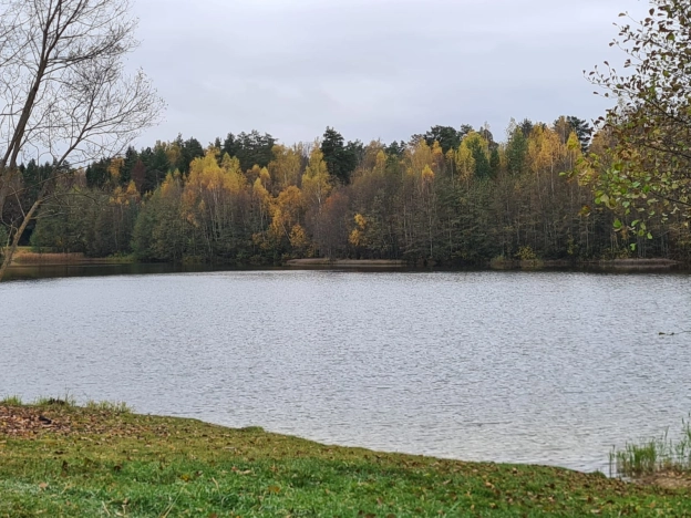 Купить дом в Москве. Вариант № 6697170, 35, площадь -  квм, цена 15000000 рублей