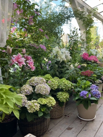 Купить дом в районе Выборгский в Санкт-Петербурге. Вариант № 40172, 14, площадь -  квм, цена 15800000 рублей