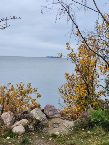 Купить двухкомнатную квартиру у метро Девяткино в Санкт-Петербурге. Вариант № 8542984, 31, площадь -  квм, цена 22900000 рублей