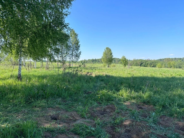 Купить земельный участок в Сергиеве Посаде. Вариант № 13800, 2, площадь -  квм, цена 600000 рублей